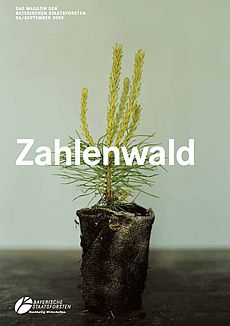 Zahlenwald